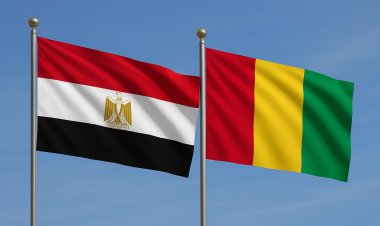 Les relations bilatérales entre l’Égypte et la Guinée Conakry