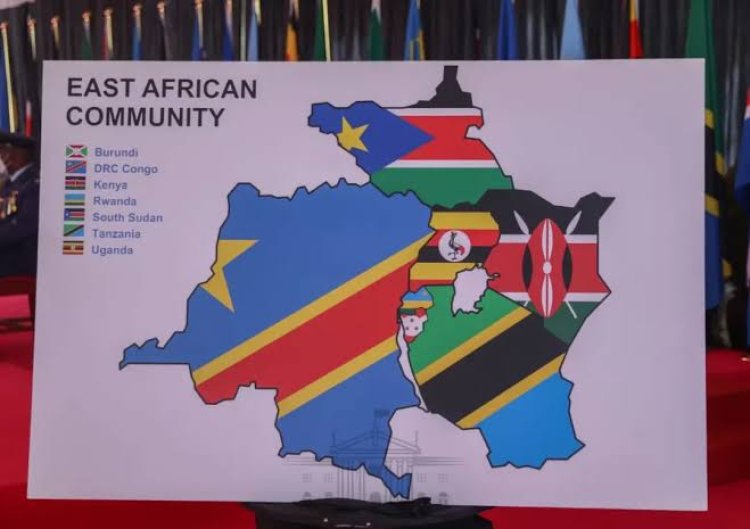 Lugha ya Kiswahili Inavyoweza Kukuza Diplomasia ya Uchumi kwa Nchi za Jumuiya ya Afrika Mashariki