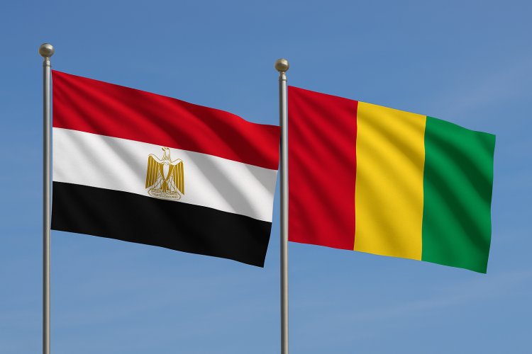 Les relations bilatérales entre l’Égypte et la Guinée Conakry