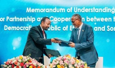 The Impact of the Memorandum of Understanding between Ethiopia and Somaliland on the Dynamics in the Horn of Africa