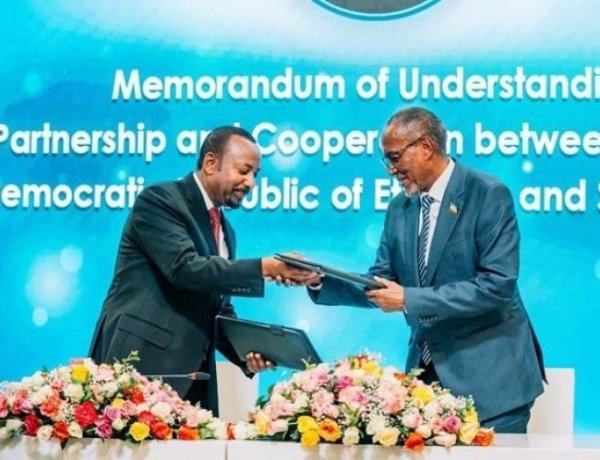 The Impact of the Memorandum of Understanding between Ethiopia and Somaliland on the Dynamics in the Horn of Africa